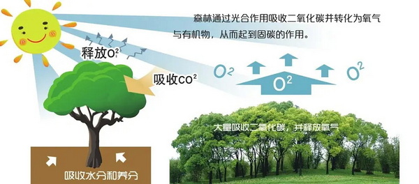 aoa综合(中国)体育官方网站